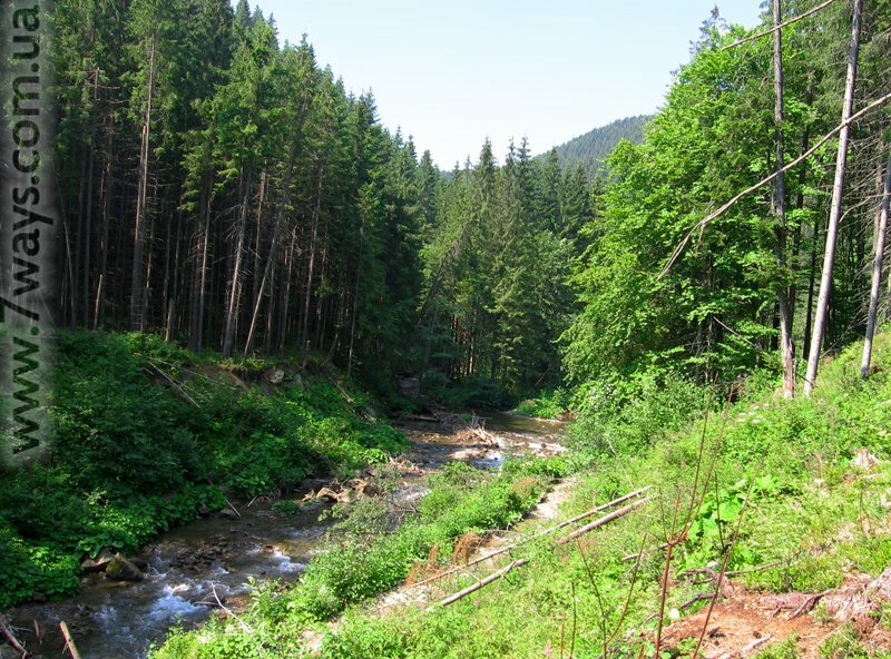 Долина реки, Карпаты Долина реки, Карпаты