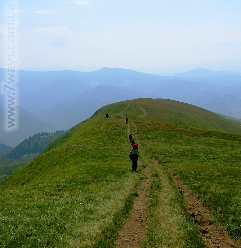 Дорога домой Дорога домой