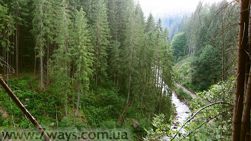 Река в долине Река в долине
