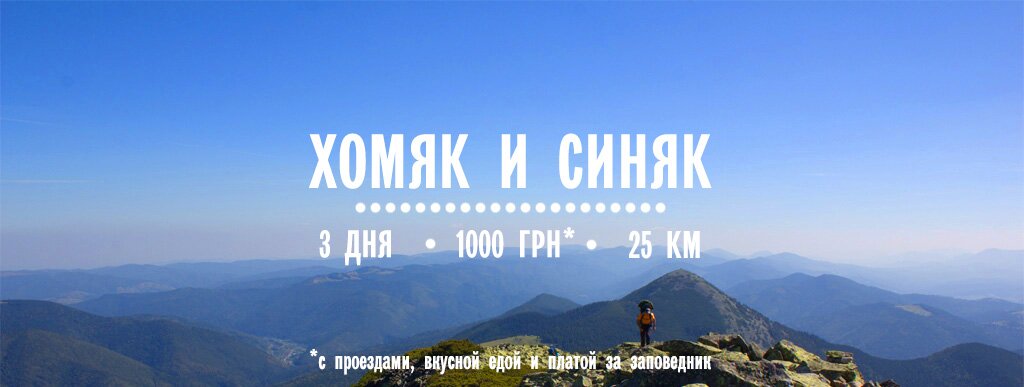 Хомяк и Синяк Хомяк и Синяк