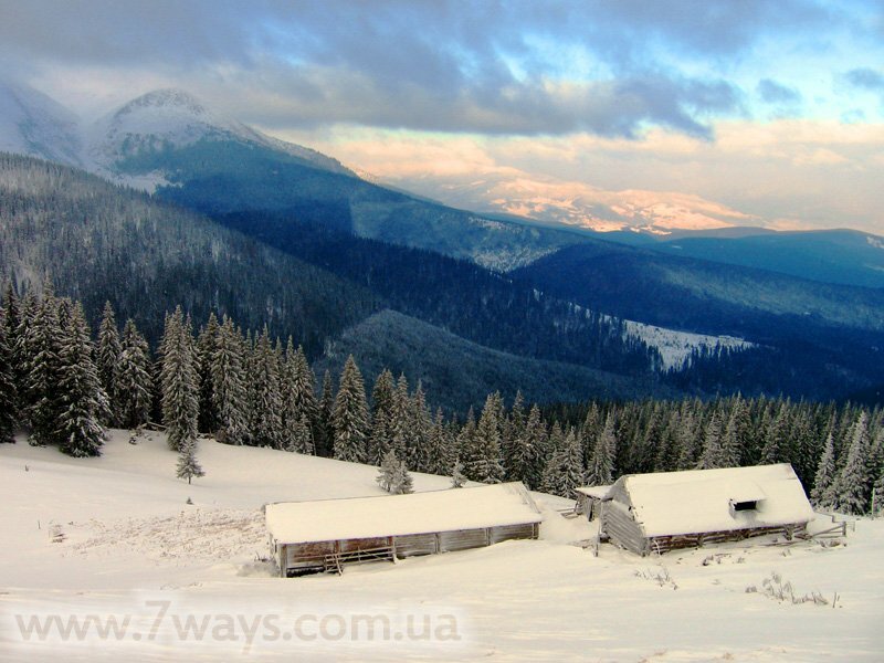 На полонине под Говерлой На полонине под Говерлой