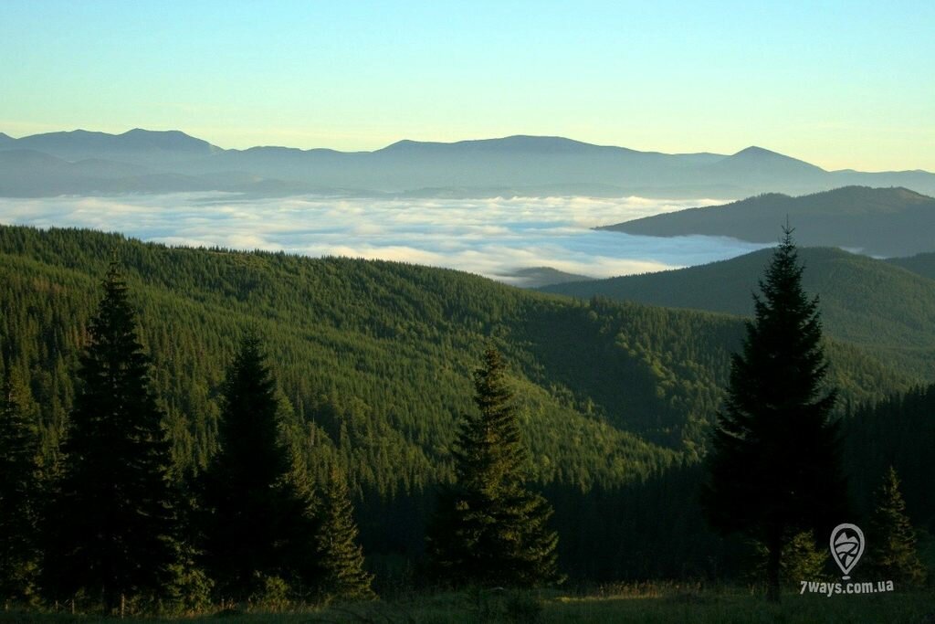 Карпаты, туман в долине под Говерлой Карпаты, туман в долине под Говерлой