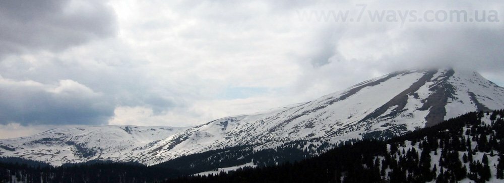 Карпаты, гора Петрос в мае Карпаты, гора Петрос в мае