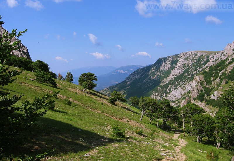 Большие ворота Большие ворота