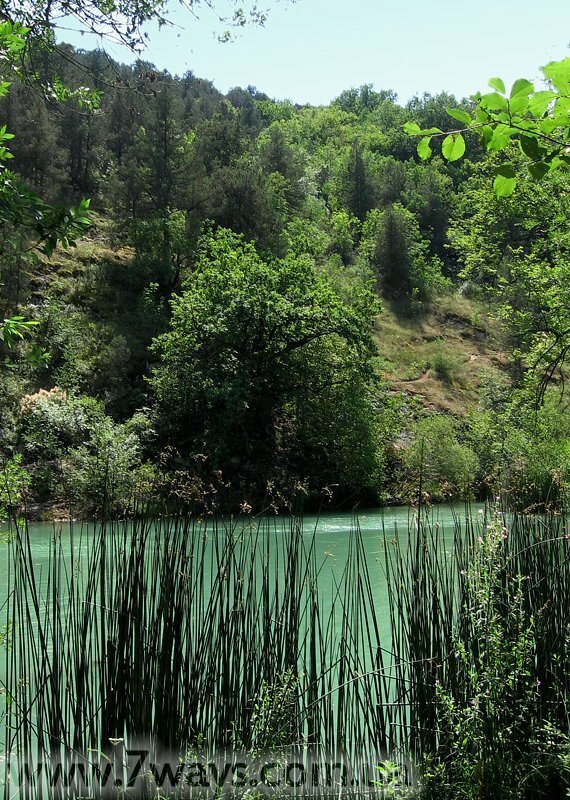 Тихая заводь Тихая заводь