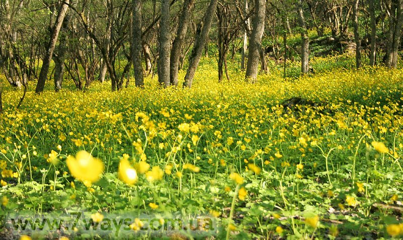 Крым, Чернореченский Каньон весной Крым, Чернореченский Каньон весной