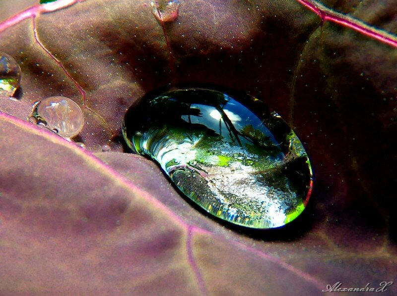 Макро Макро