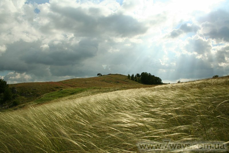 Ковыль на плато Ковыль на плато