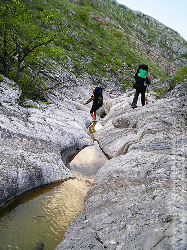 Ванночки Ванночки