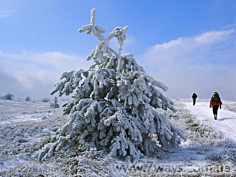 Заснеженная дорога на Караби. Заснеженная дорога на Караби.