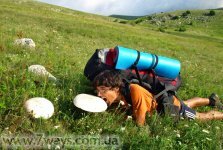 Летние крымские шампиньоны
