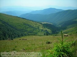 Карпаты - на полонине Рогнеска