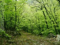 Весенний Крым